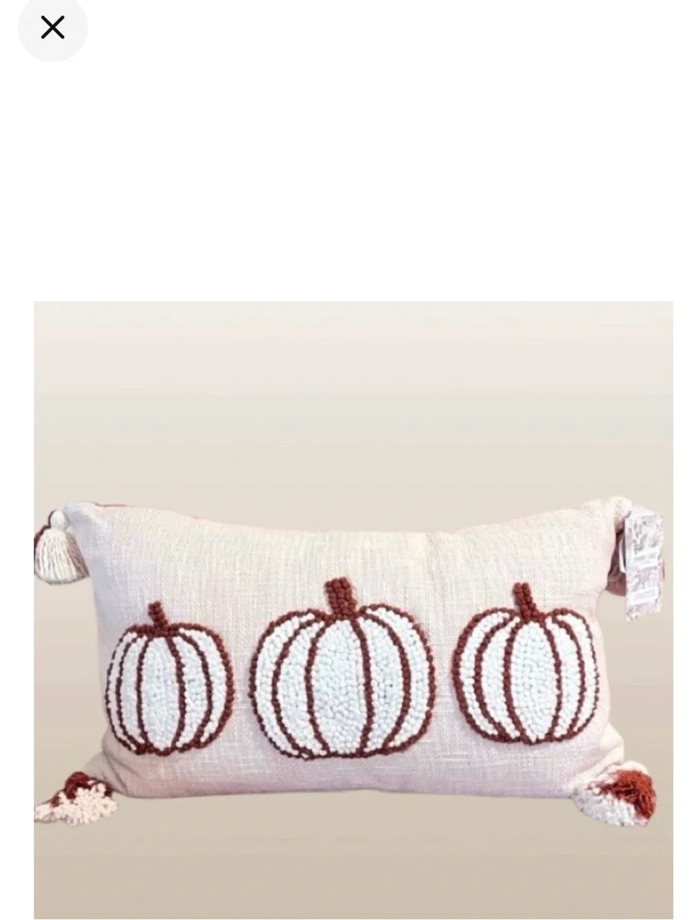 🆕- Shabby Chic Embroidered Pumpkin Trio Neutral Fall Pillow.